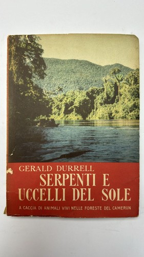 Serpenti uccelli del - sole., a