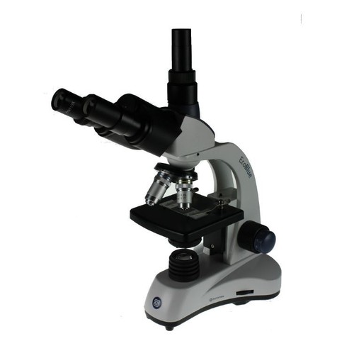 1653 euromex microscopio - ec.1653,
