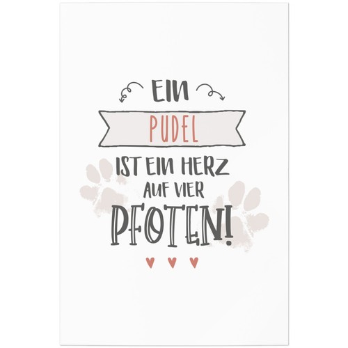 Ein pudel ist - ein, auf