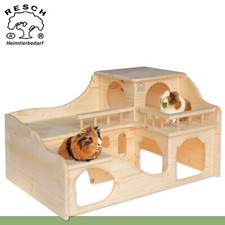 Resch 35 castello cavia ratto