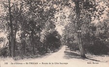 17 SAINT TROJAN LES BAINS