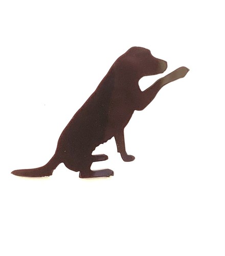 Cane labrador con - cane,
