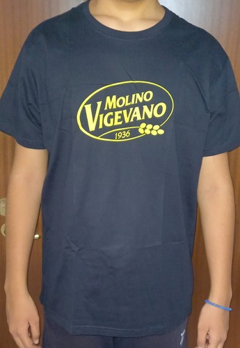 Shirt vigevano molino - t-shirt,