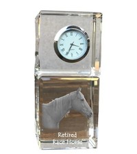 Cavallo da corsa in pensione