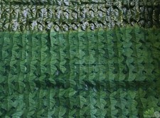 ARELLA SIEPE EDERA BASIC 1X3MT