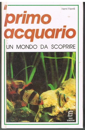 Primo acquario pesci - il,
