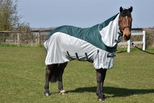 Tappeto mosca cavallo - , top