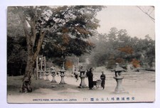 Postcard - OMOTO PARK