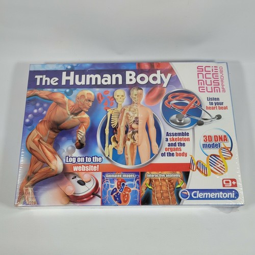 Nuovo modello the human body - the,