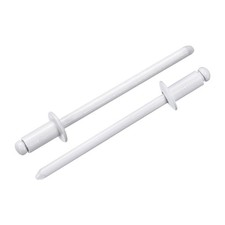 100 Pezzi Rivetti Ciechi Testa