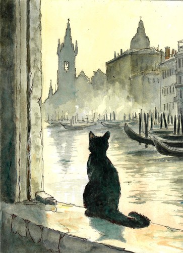 Cat watching misty - watching, a