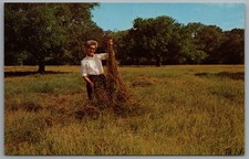 Cartolina Columbus MS Greer's