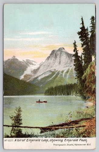 Cartolina vancouver british - cartolina,
