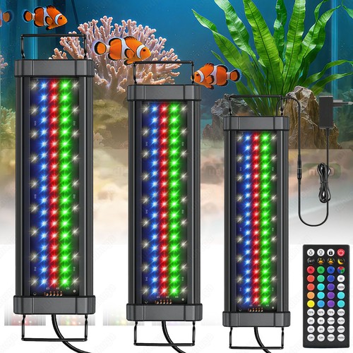 Illuminazione acquario 153 - illuminazione,
