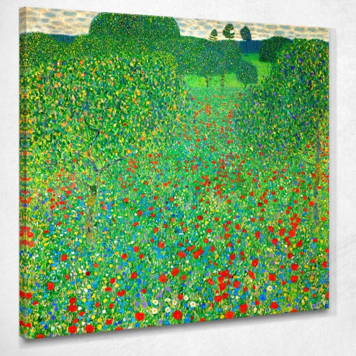 Campo papaveri gustav - di,
