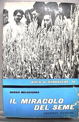 Miracolo del seme rocco - miracolo,