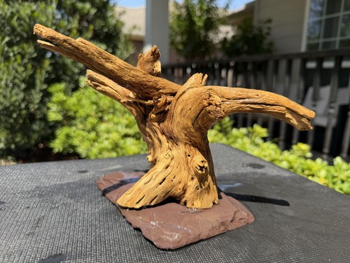 Cholla driftwood acquari - acquari, pesci