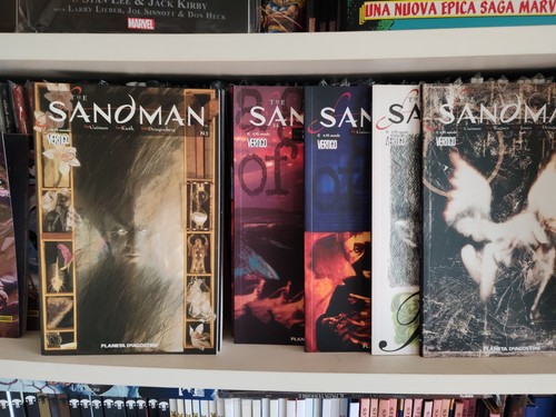 The sandman 20 - the,