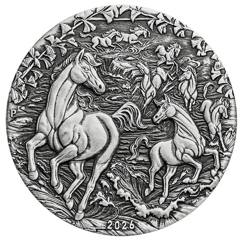 Moneta argento anticato 2026 - argento,