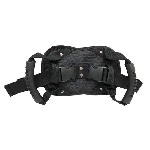 Motorcycle passenger - motorcycle,