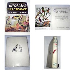 AVES RARAS Y SUS CURIOSIDADES