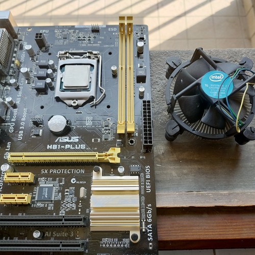 Scheda madre asus h81 plus - scheda, lg