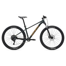 Mountain bike Giant Talon 2 29