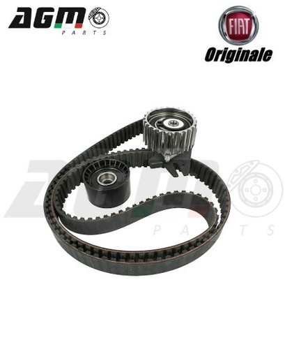 Kit cinghia distribuzione - cinghia,