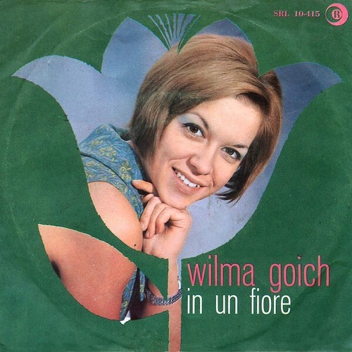 Wilma goich un fiore - wilma,