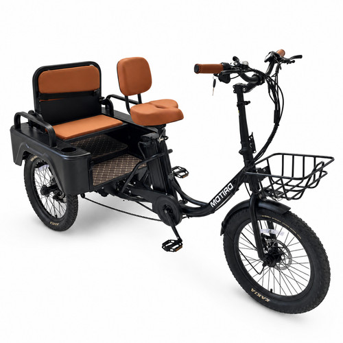 Triciclo elettrico adulti - elettrico, 20