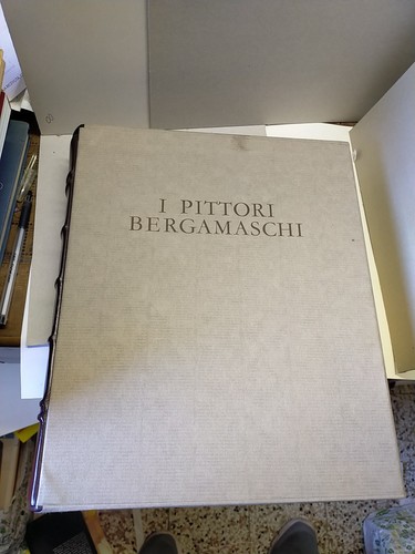 Pittori bergamaschi volume - pittori,