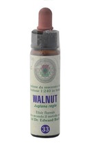 Walnut princeps fiori - walnut,