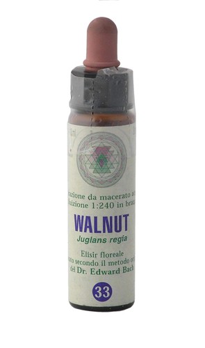 Walnut princeps fiori - walnut, nr.