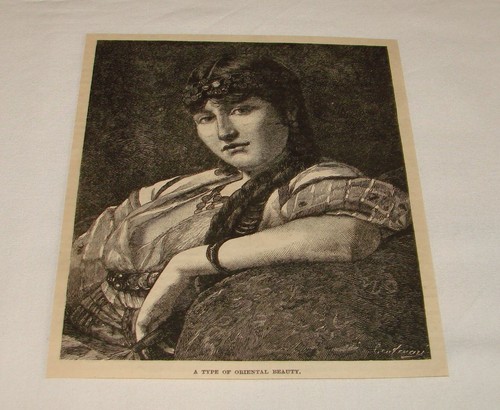 1884 rivista incisione tipo - rivista,
