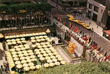 New York City Outdoor