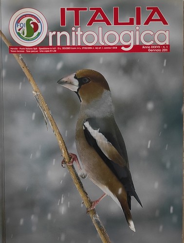 Italia ornitologica 2011 - ornitologica,