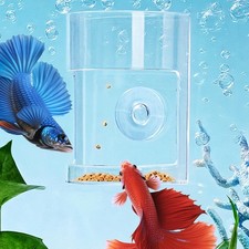 Mangiatoia per pesci, vassoio