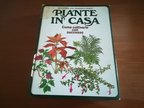 Piante casa come - casa,,