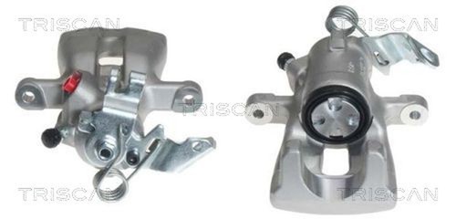 Pinza freno triscan 8170 - pinza,