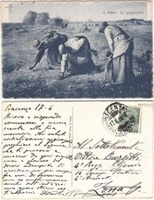 LE SPIGOLATRICI - ILLUSTRATORI MILLET - VIAGG. 1918 -5198-