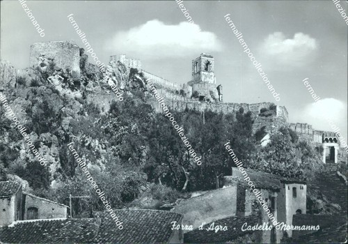 Bm584 cartolina forza - cartolina, d'agro'