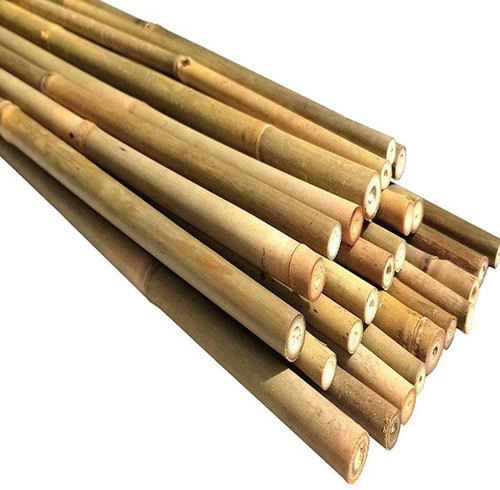 Canne bamboo pezzi 180cm - bamboo,