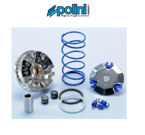 Polini 241 670 variatore - 241.670,
