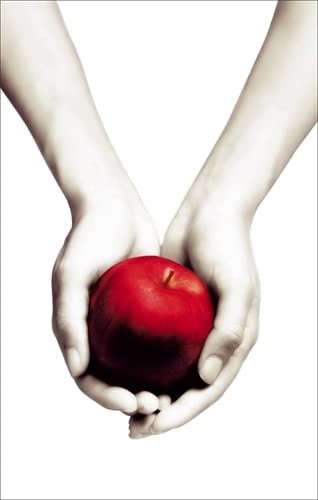 Twilight book 1 - book,