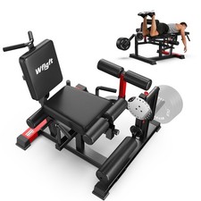 Leg Extension Curl Lower Body