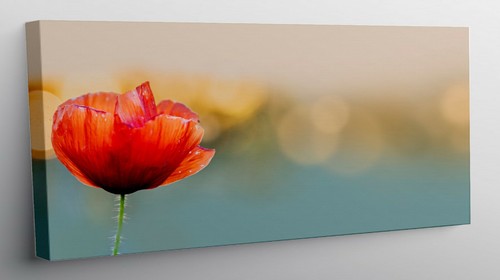 Quadro moderno stampa tela - su,