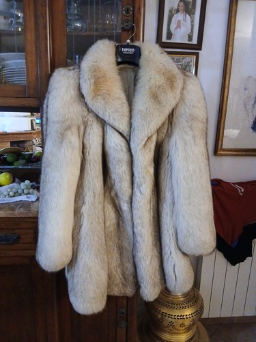 Pelliccia volpe argentata - pelliccia,
