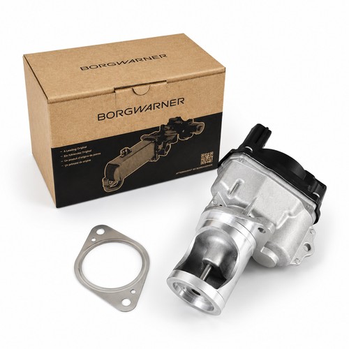 Valvola egr borgwarner per - egr,
