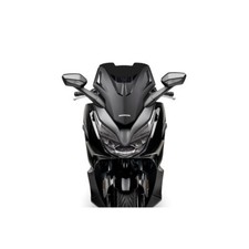 Cupolino Malossi SPORT SCREEN