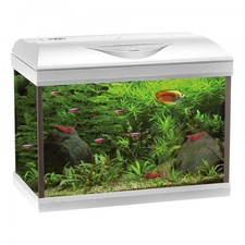 Acquario completo Amtra Basic